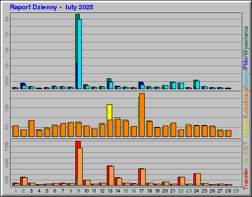 Raport Dzienny -  luty 2025