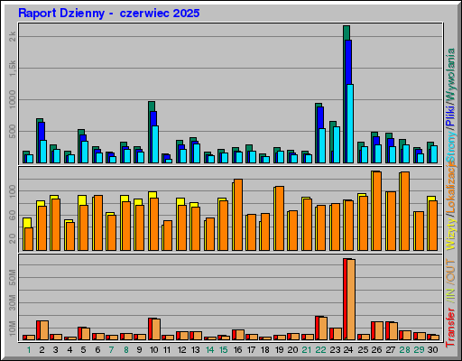 Raport Dzienny -  czerwiec 2025
