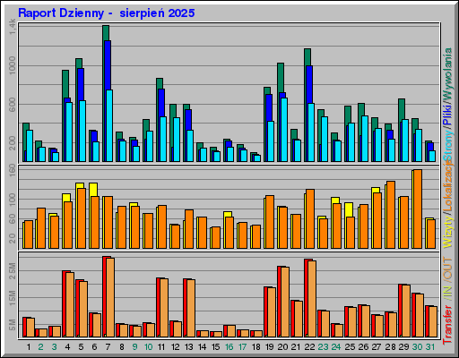 Raport Dzienny -  sierpień 2025