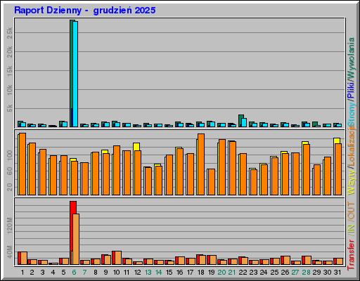 Raport Dzienny -  grudzień 2025