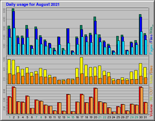 Raport Dzienny -  sierpień 2021