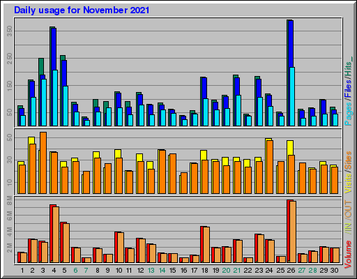 Raport Dzienny -  listopad 2021