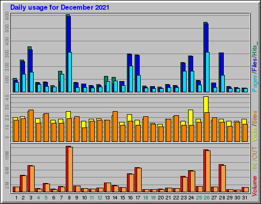 Raport Dzienny -  grudzień 2021