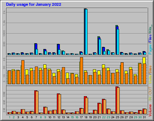 Raport Dzienny -  styczeń 2022