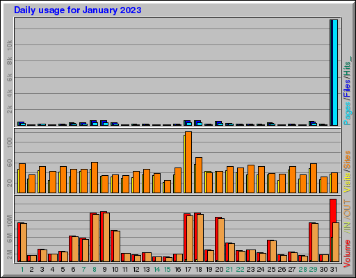 Raport Dzienny -  styczeń 2023