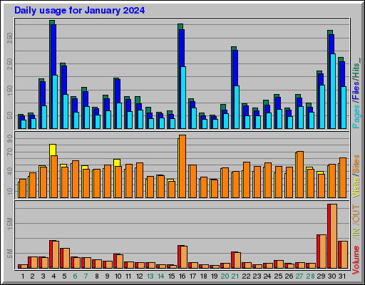 Raport Dzienny -  styczeń 2024