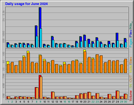 Raport Dzienny -  czerwiec 2024