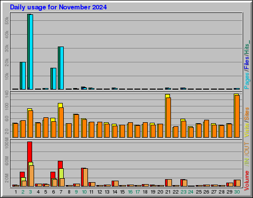 Raport Dzienny -  listopad 2024