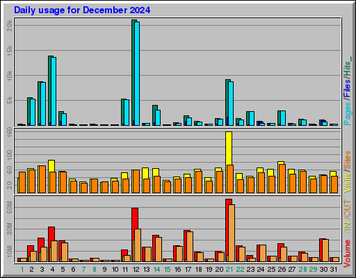 Raport Dzienny -  grudzień 2024