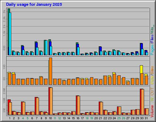 Raport Dzienny -  styczeń 2025