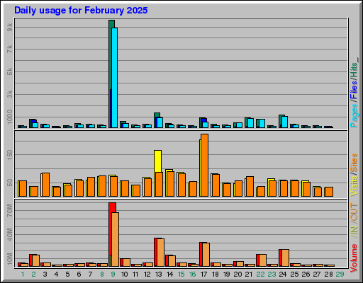 Raport Dzienny -  luty 2025