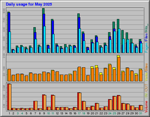 Raport Dzienny -  Maj 2025