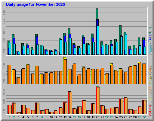 Raport Dzienny -  listopad 2025