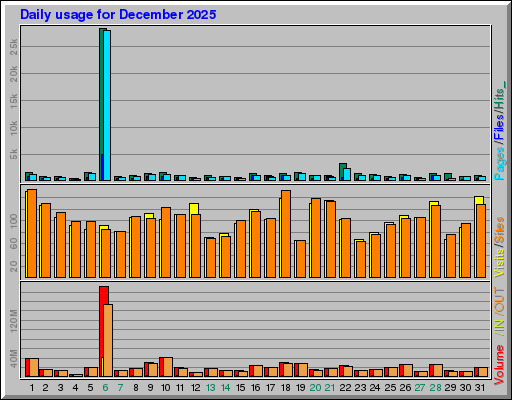 Raport Dzienny -  grudzień 2025