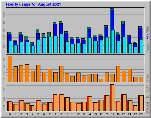 Raport Godzinowy -  sierpień 2021