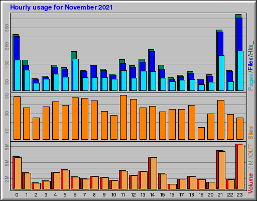 Raport Godzinowy -  listopad 2021