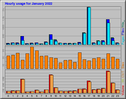 Raport Godzinowy -  styczeń 2022