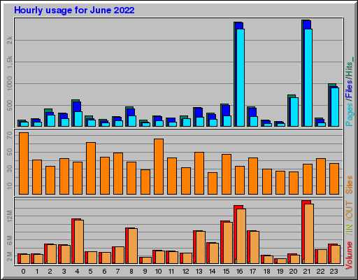 Raport Godzinowy -  czerwiec 2022