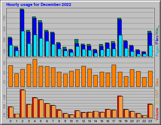 Raport Godzinowy -  grudzień 2022