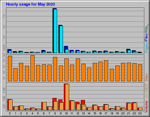 Raport Godzinowy -  Maj 2023