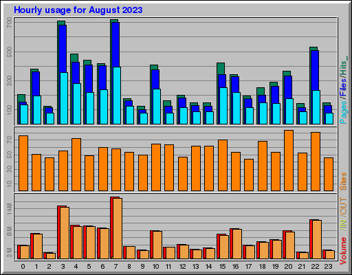 Raport Godzinowy -  sierpień 2023