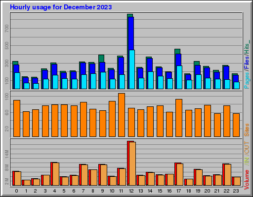 Raport Godzinowy -  grudzień 2023