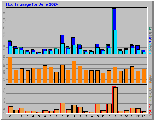 Raport Godzinowy -  czerwiec 2024