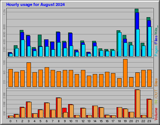 Raport Godzinowy -  sierpień 2024