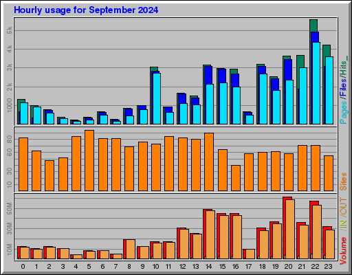 Raport Godzinowy -  wrzesień 2024