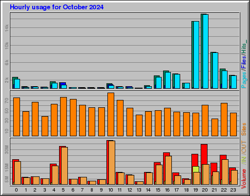 Raport Godzinowy -  październik 2024