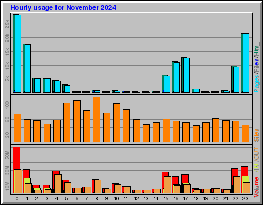 Raport Godzinowy -  listopad 2024