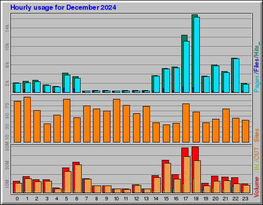 Raport Godzinowy -  grudzień 2024