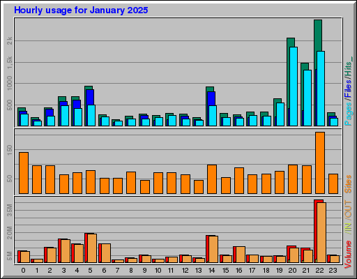 Raport Godzinowy -  styczeń 2025
