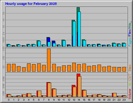 Raport Godzinowy -  luty 2025
