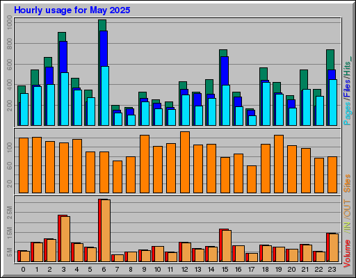 Raport Godzinowy -  Maj 2025