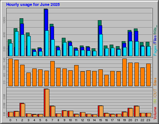 Raport Godzinowy -  czerwiec 2025