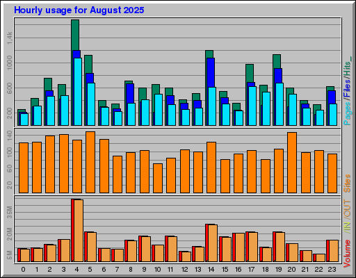 Raport Godzinowy -  sierpień 2025