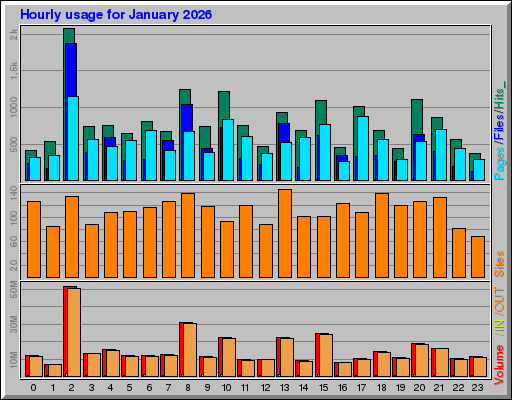 Raport Godzinowy -  styczeń 2026