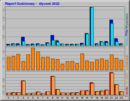 Raport Godzinowy -  styczeń 2022