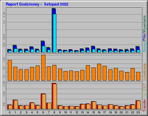 Raport Godzinowy -  listopad 2022