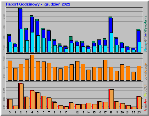 Raport Godzinowy -  grudzień 2022