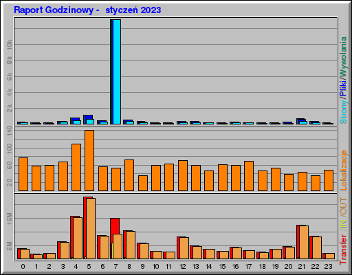 Raport Godzinowy -  styczeń 2023