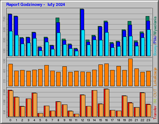 Raport Godzinowy -  luty 2024