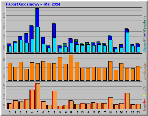Raport Godzinowy -  Maj 2024