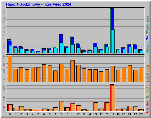 Raport Godzinowy -  czerwiec 2024