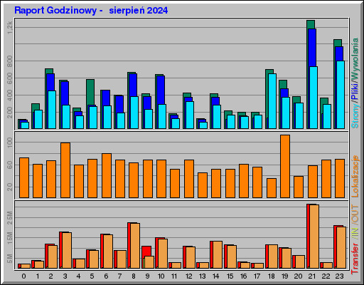 Raport Godzinowy -  sierpień 2024