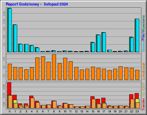 Raport Godzinowy -  listopad 2024