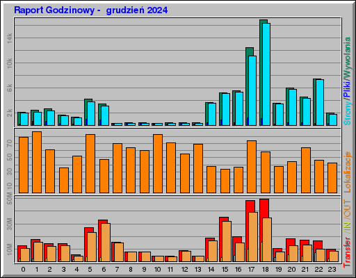 Raport Godzinowy -  grudzień 2024