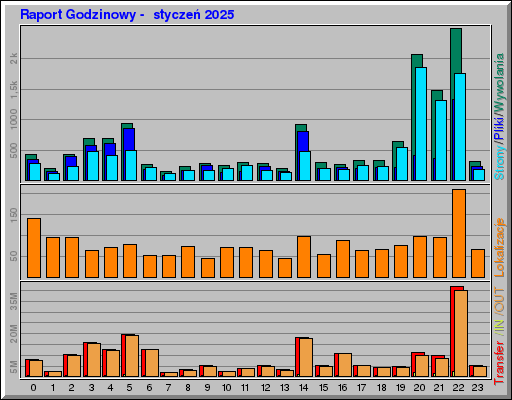 Raport Godzinowy -  styczeń 2025