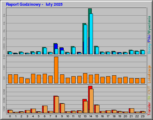 Raport Godzinowy -  luty 2025